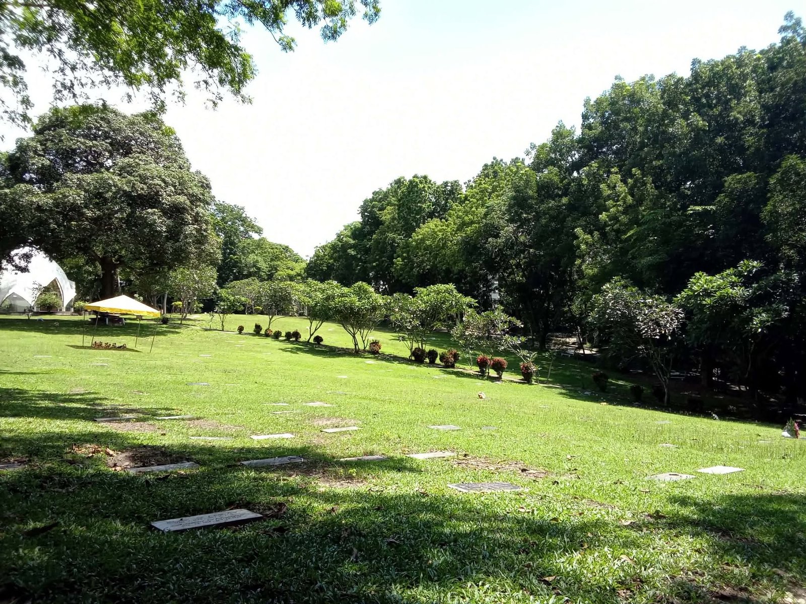 Golden Valley grounds